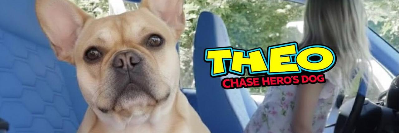 THEO - Chase Hero's Dog